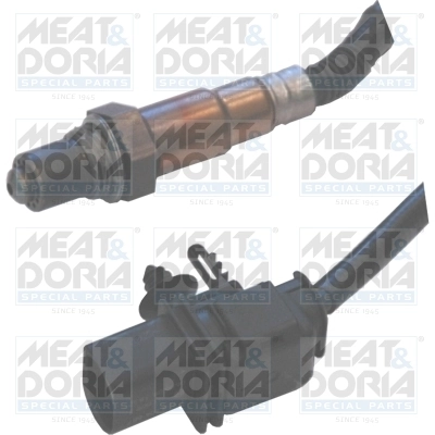 Oxygen Sensor